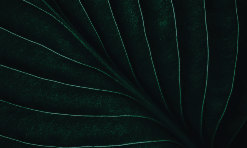 Sustainability Report