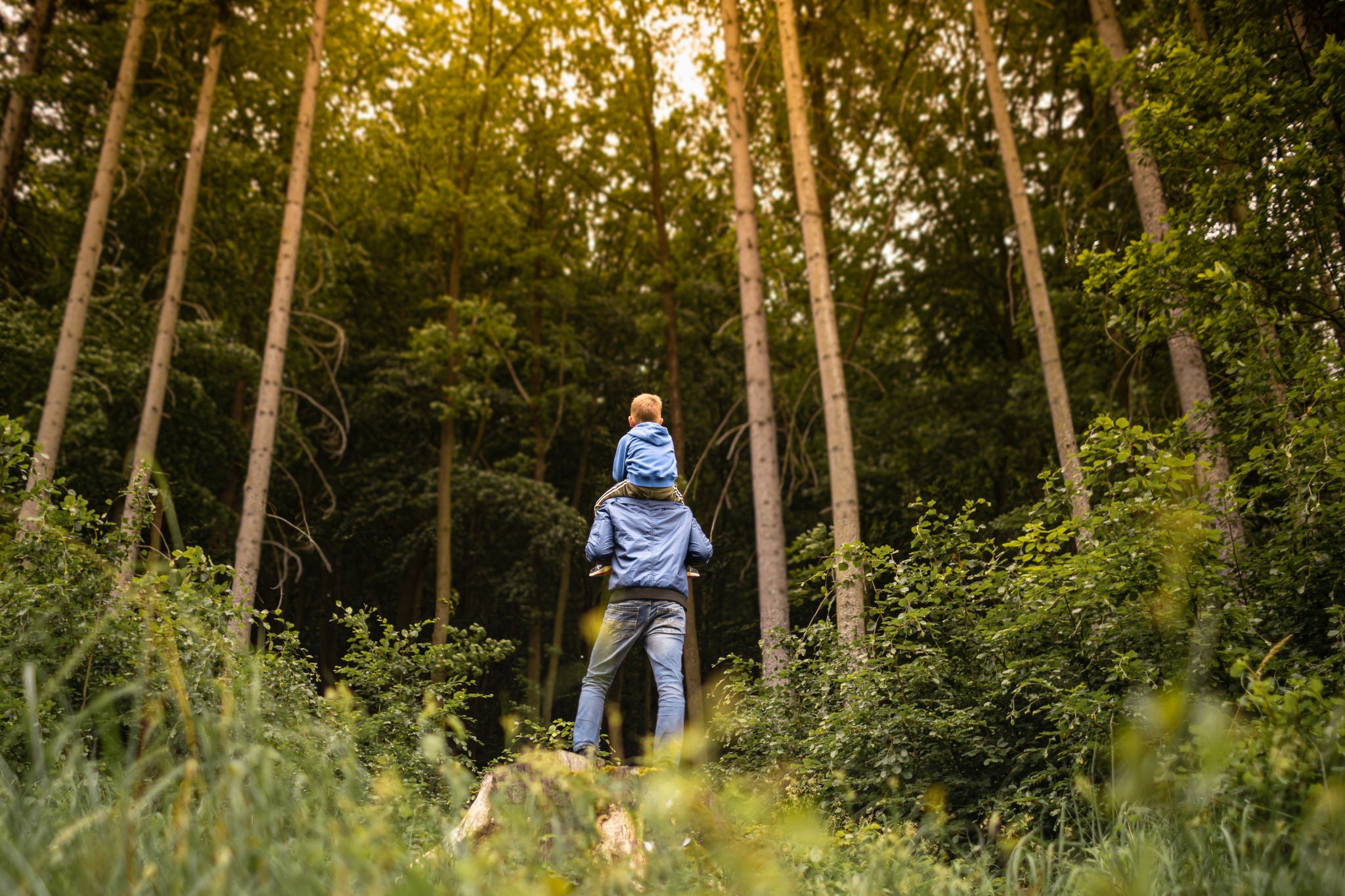 Father son child spending time hiking together in nature. Family active adventure lifestyle concept.